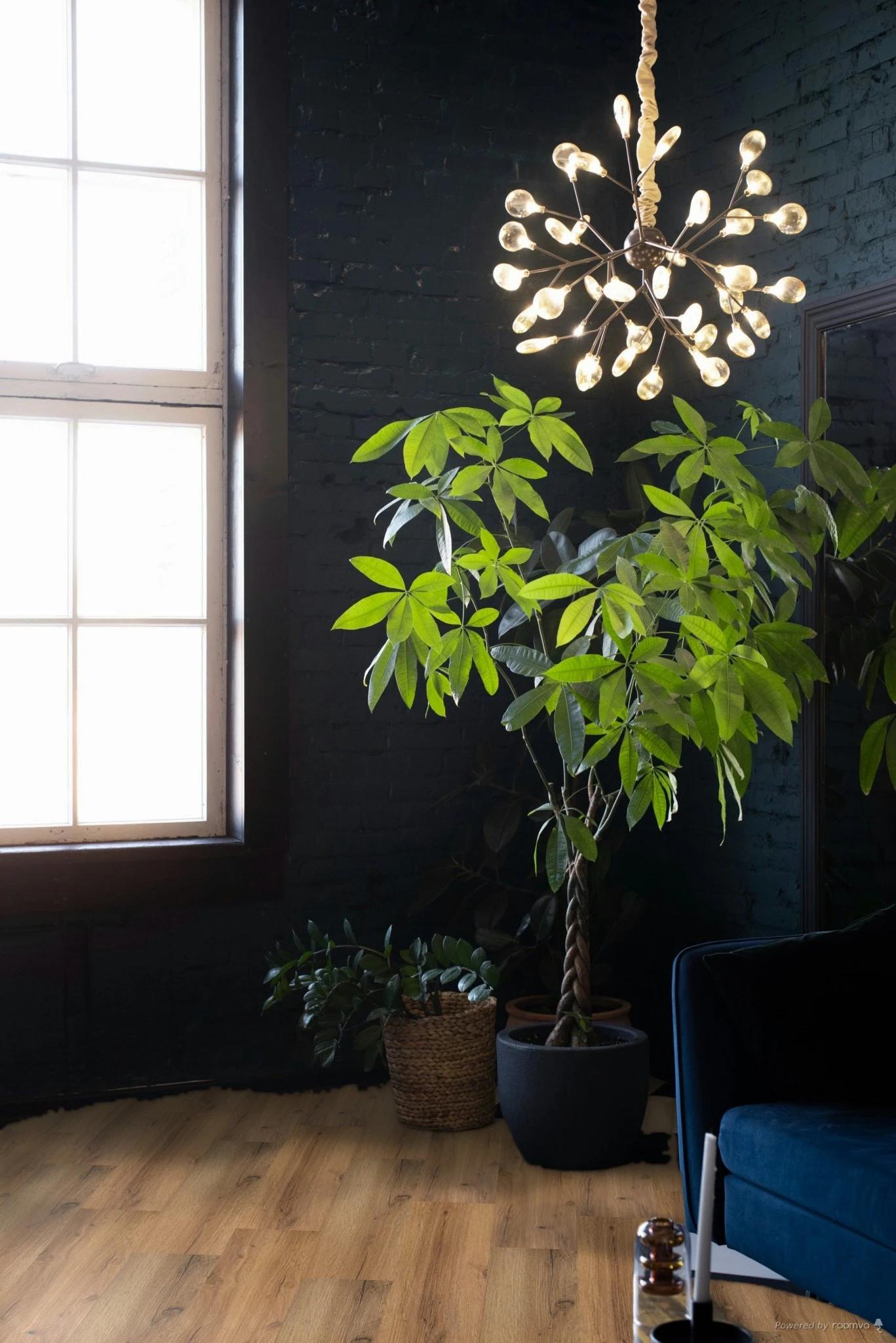 Podlaha SPC RIGID 4,5/0,2 s podložkou DUB NATURA 1190x180 mm (2,142m2) Green line